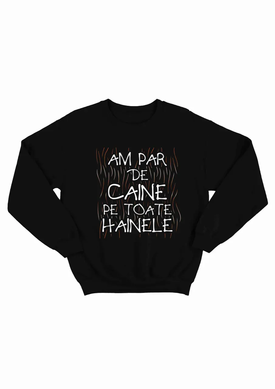 AM PAR DE CAINE PE TOATE HAINELE BLUZA