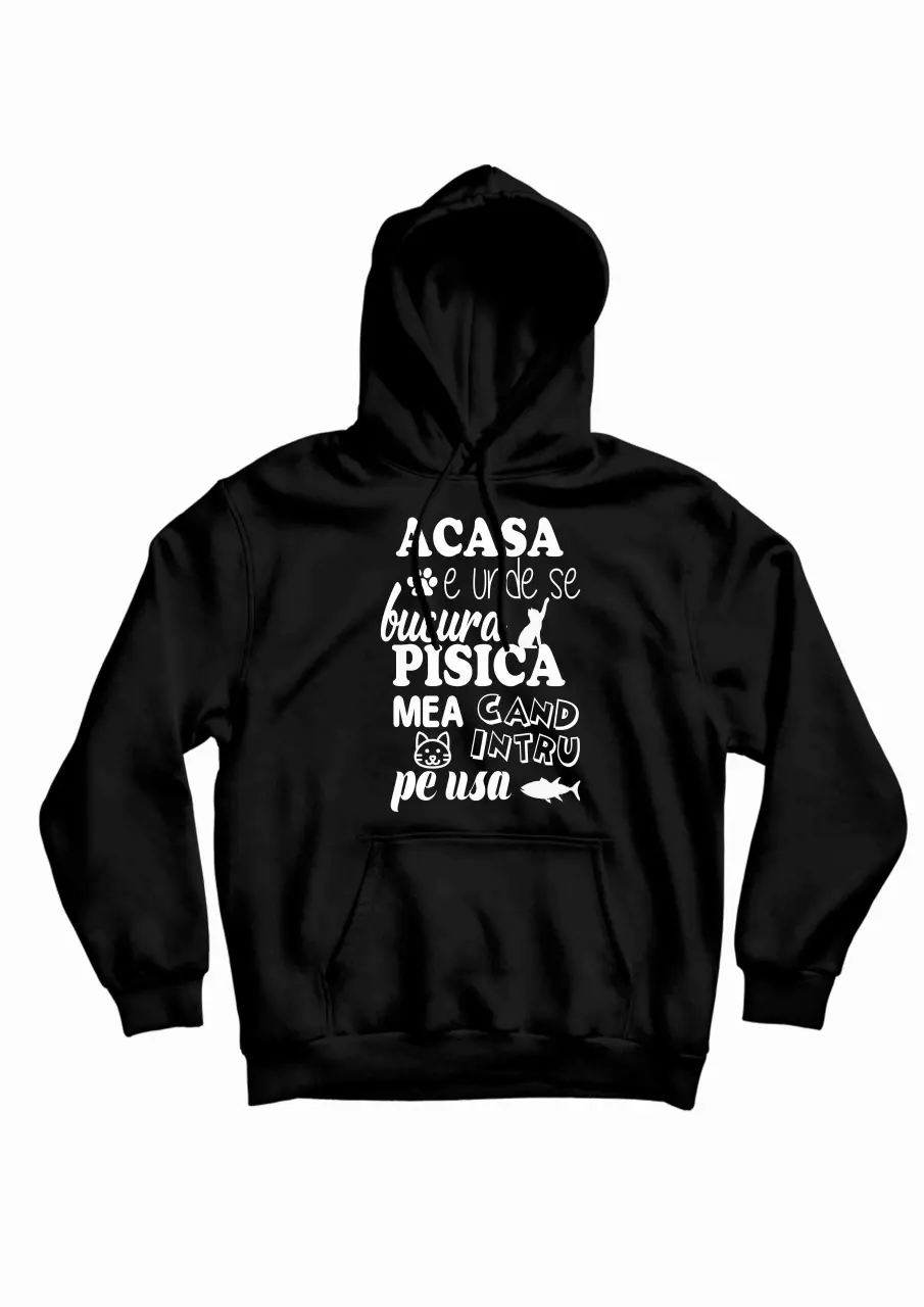 ACASA E UNDE SE BUCURA PISICA MEA HANORAC